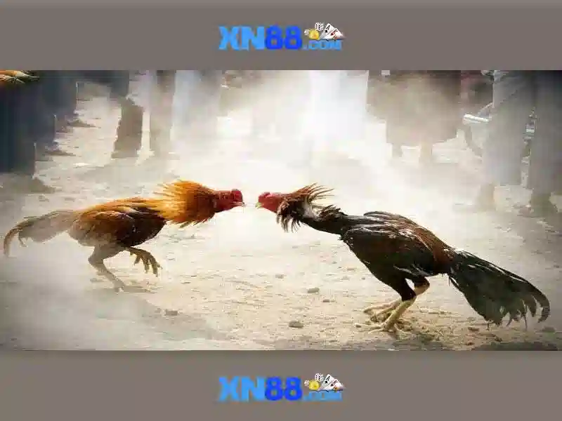 💎xn88 slot suspended💎