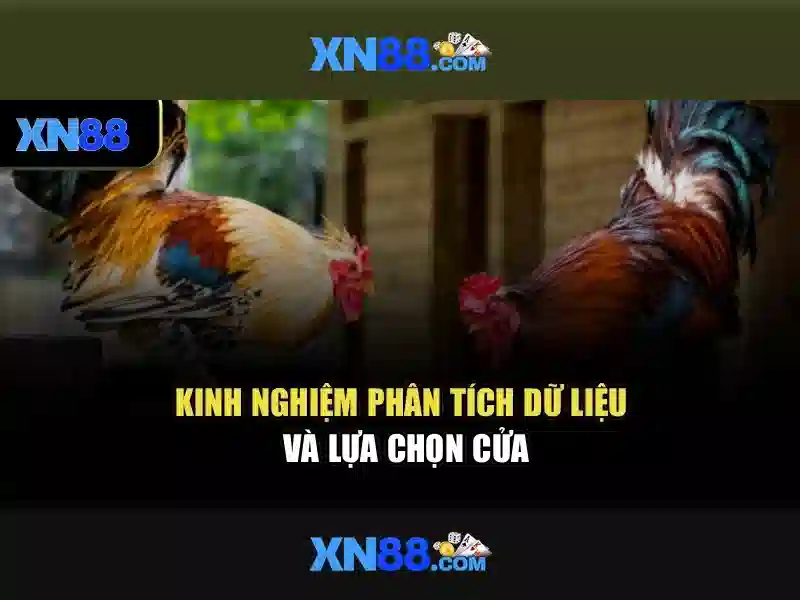 💎báo giá cải tạo nhà hcm💎