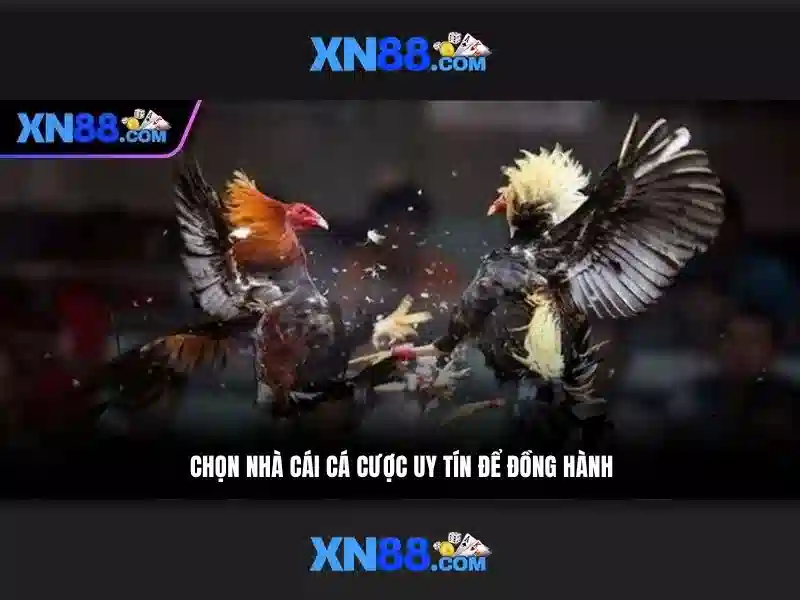 💎top 6+ game bài đổi thưởng nổ hũ💎