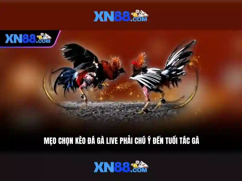 💎amd ram slots💎