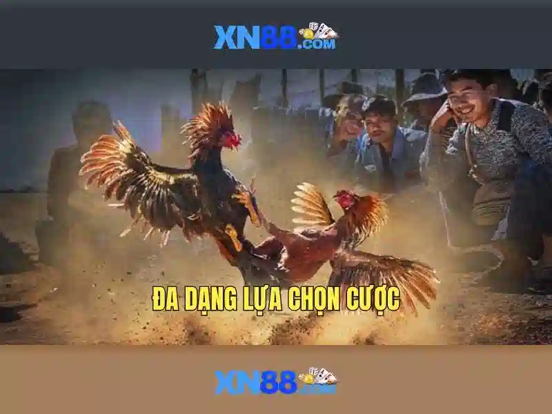 💎nhà xe sao vàng thái bình lào cai💎