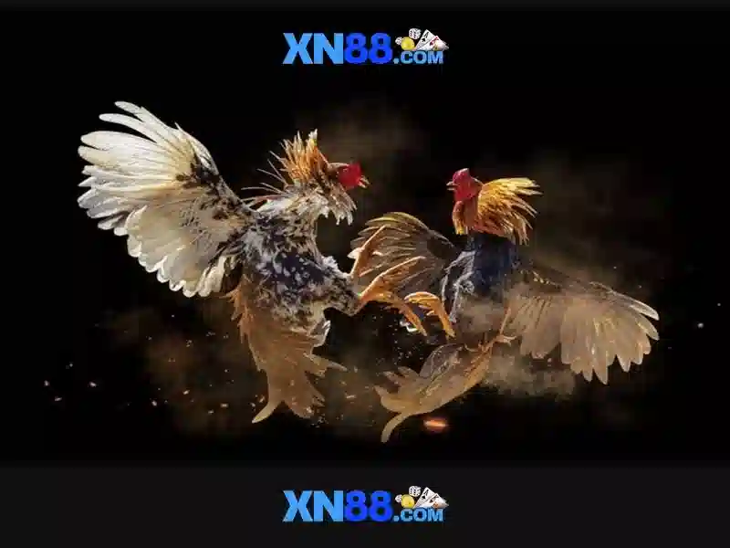 💎money coming expanded bets xn88💎