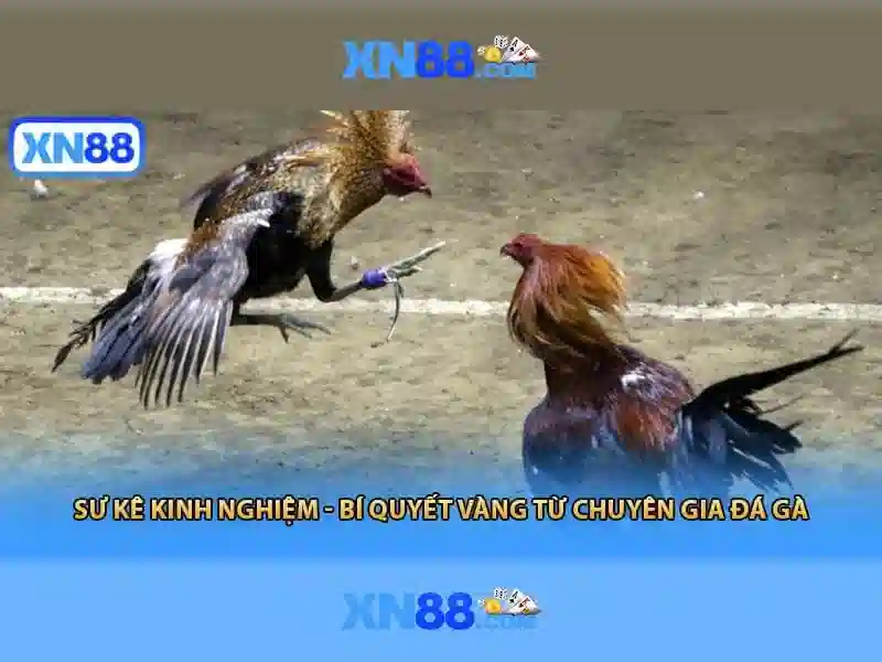 💎quantum x slot free play💎