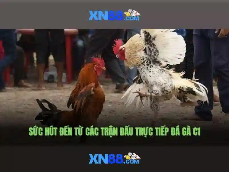 💎phim song bac ma cao💎