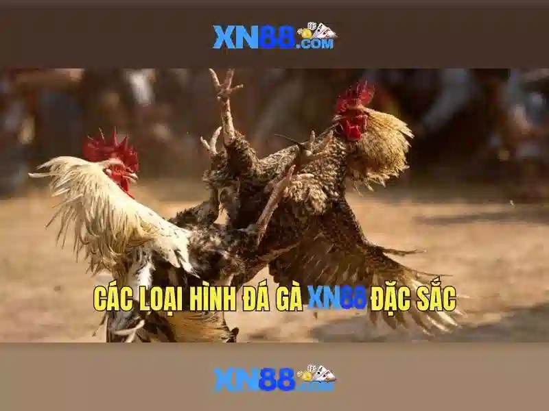 💎quan điểm cá nhân về cuộc sống💎