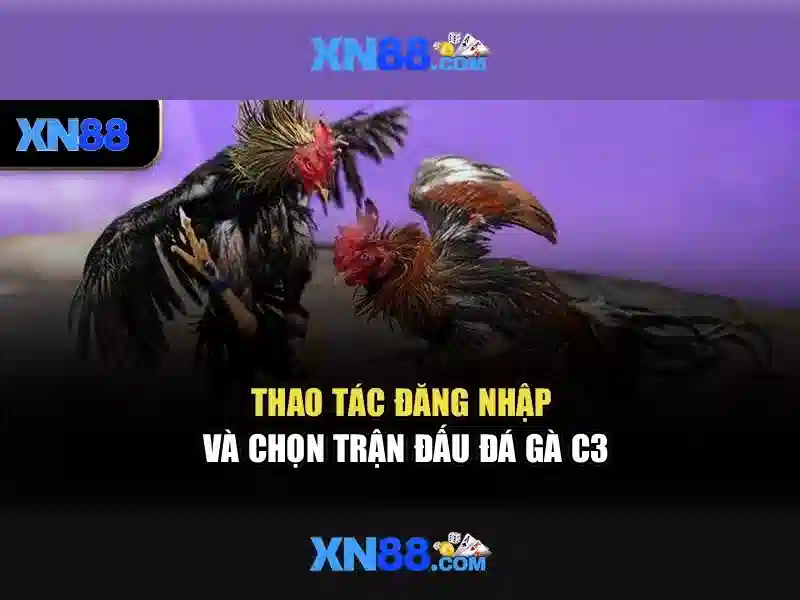 💎video slots usa💎