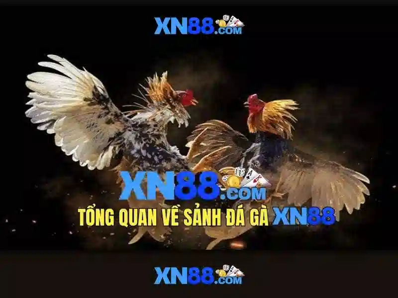 💎rokok 888 slot💎