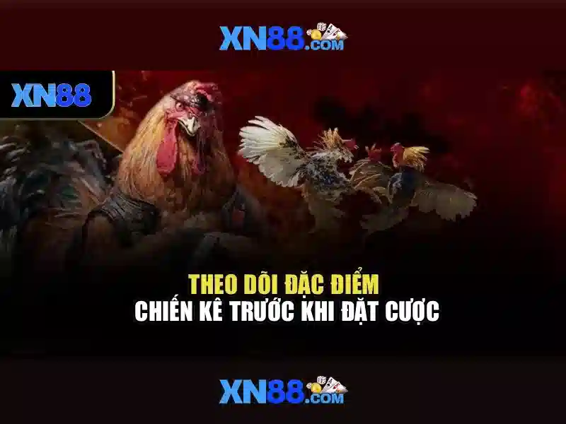 💎trang ca cuoc bong da. pro💎