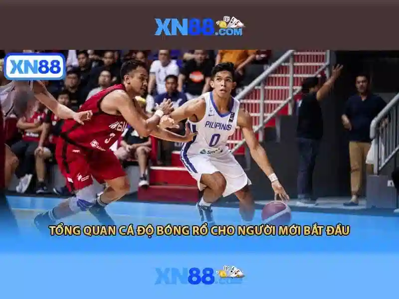 💎bài đánh giá về teelab bắc ninh💎