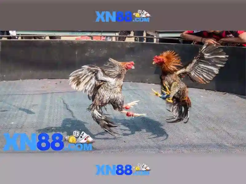 💎tất cả gói cước của viettel💎