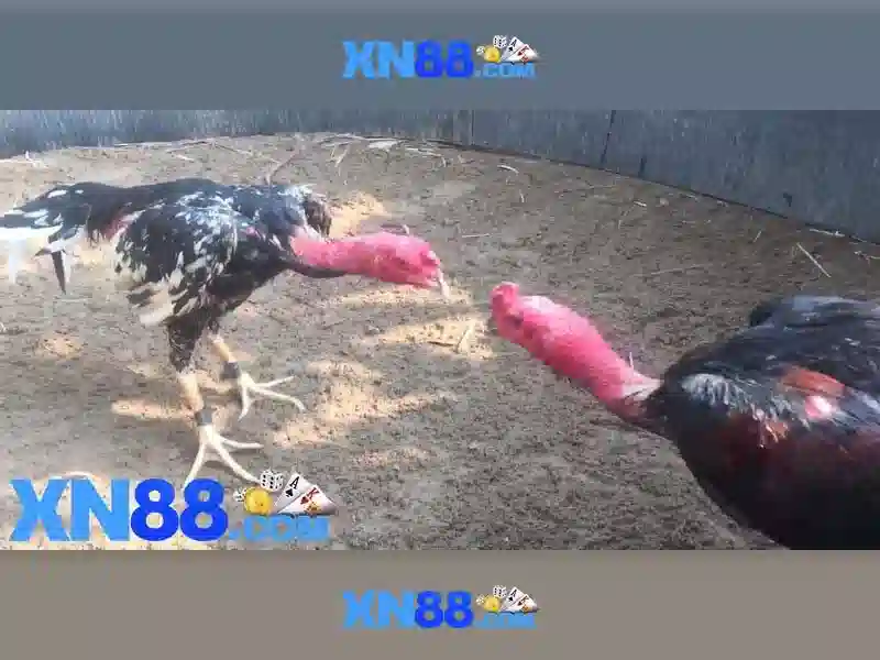 💎hb88 fortune gems 2 demo💎