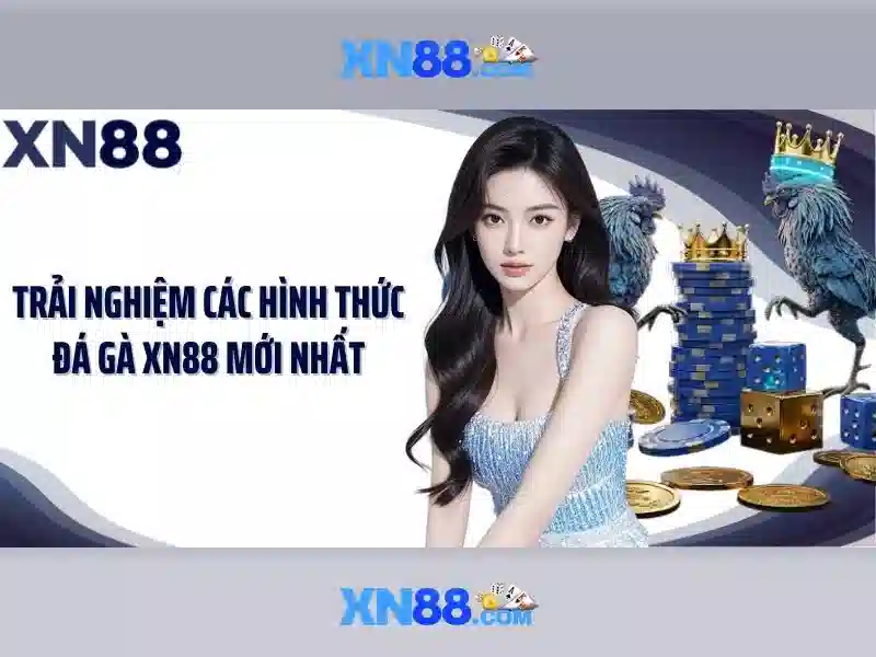 💎nhịp sống tây bắc 2021💎