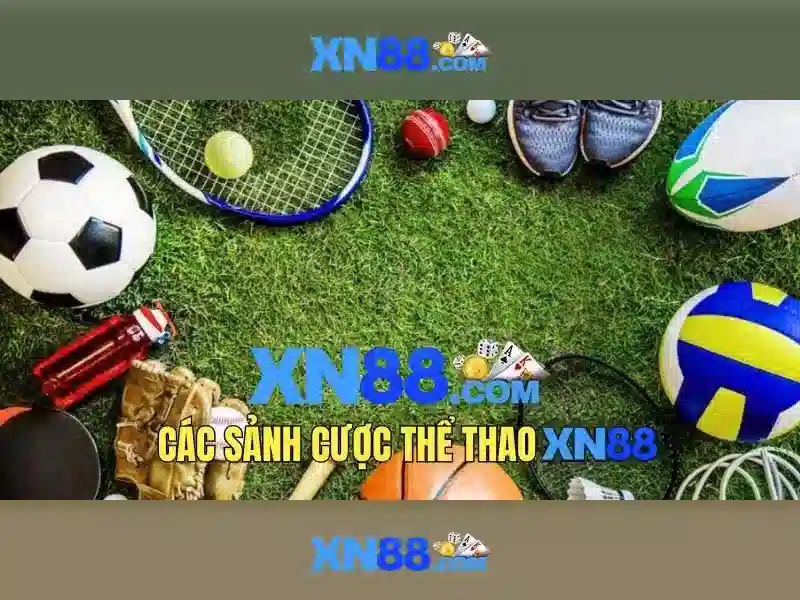 💎cage oiseau neo xn88💎