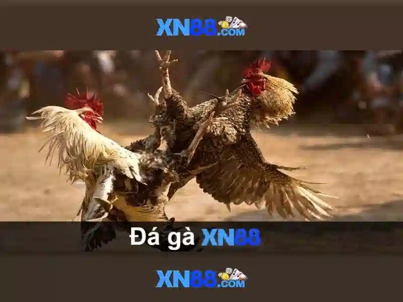 💎trực tiếp tỷ lệ nhà cái💎
