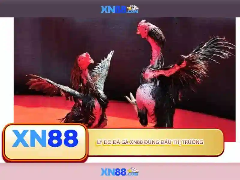 💎cách cá cược bóng đá online💎