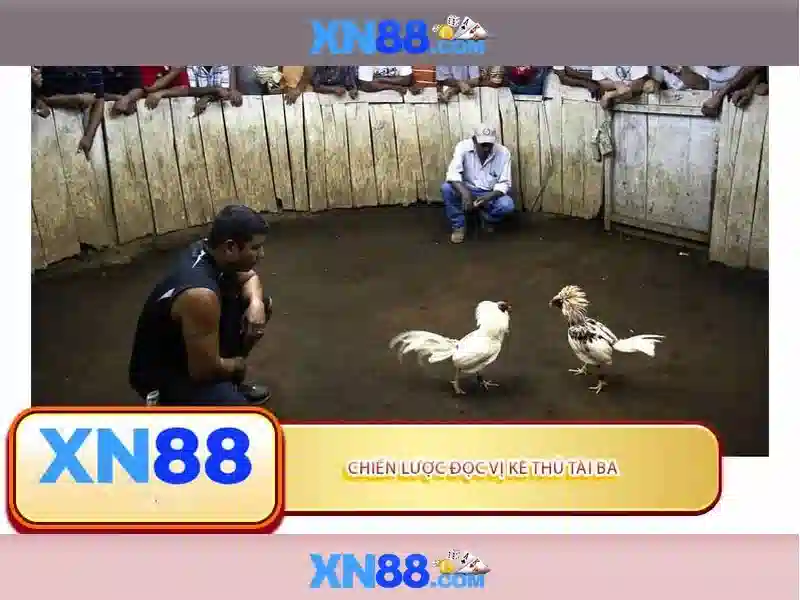 💎big bertha slot machine💎