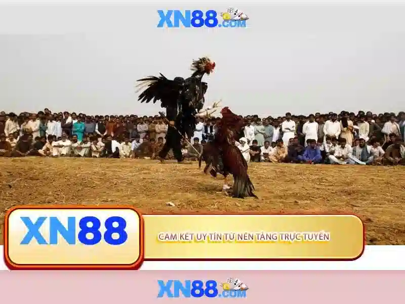 💎python signals and slots💎