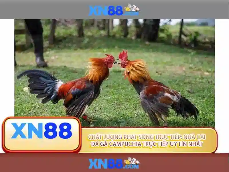 💎xn88 link truy cập nhà cái mới nhất tặng 188k💎