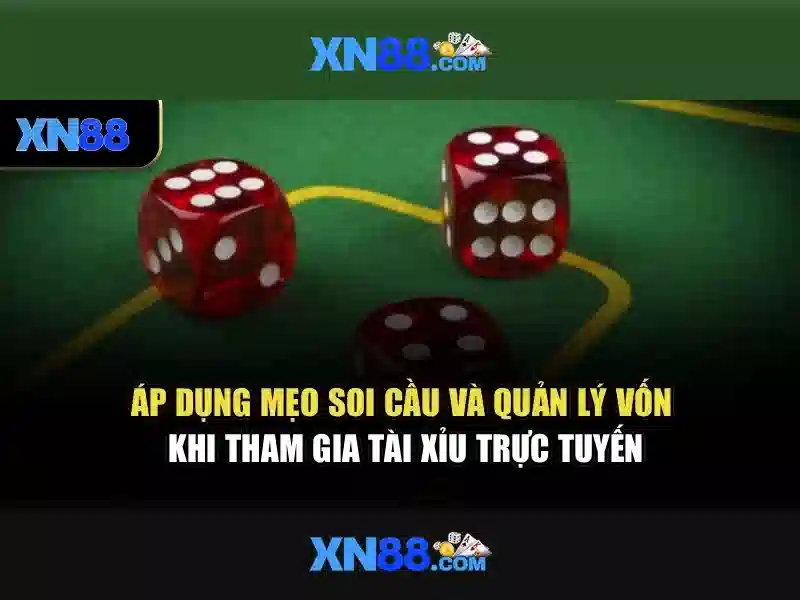 💎top nhà cái uy tín chuyên cá cược💎