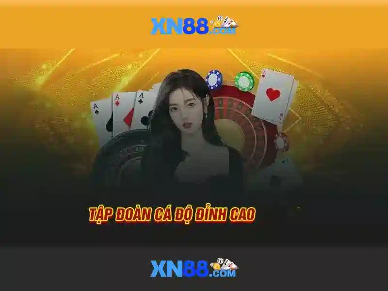 💎mecca bingo online bingo games & slots💎