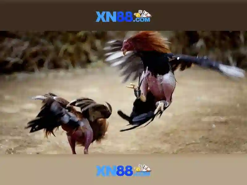 💎777 hb88 slot💎