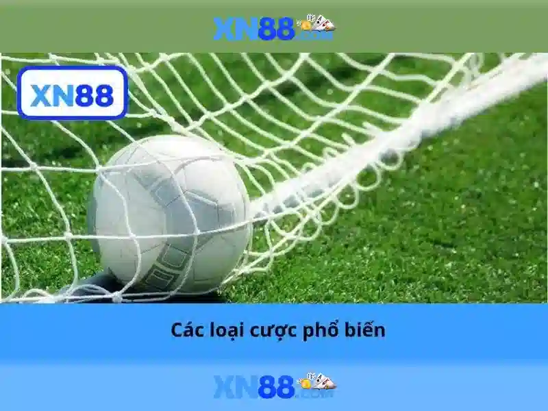 💎cá cược nhà cái bóng đá💎