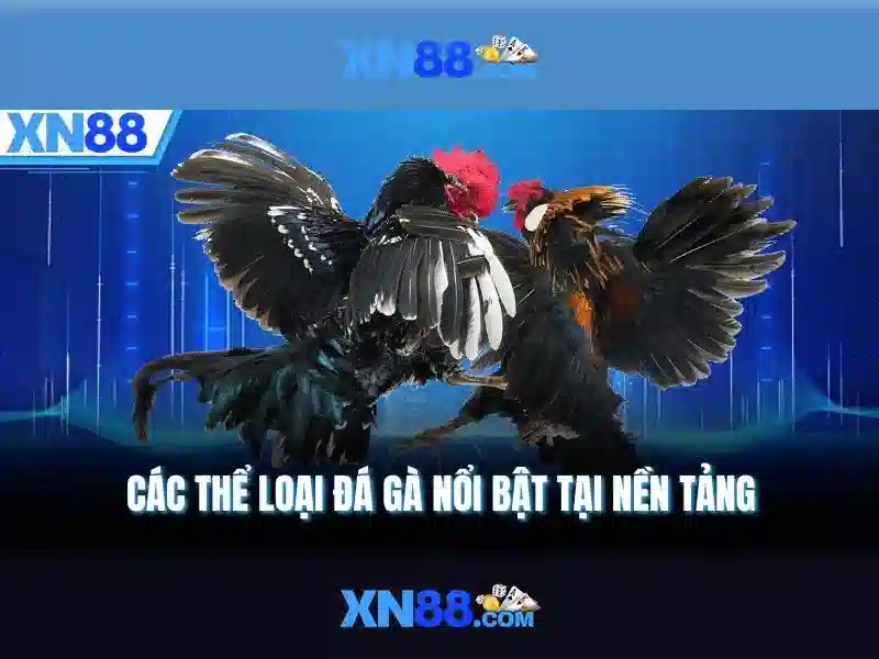 💎ceo xn88 entertainment💎