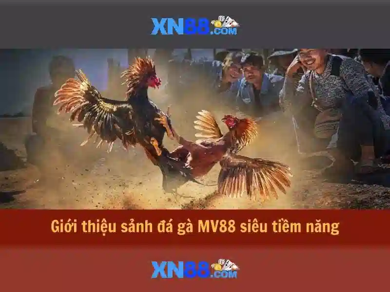 💎nhà cái nani88 thuong💎