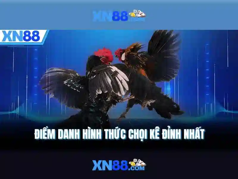💎q2 nha cai💎