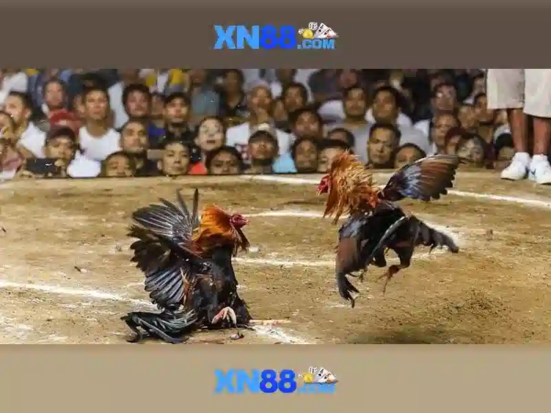 💎đánh cảm bằng đồng bạc trứng gà💎