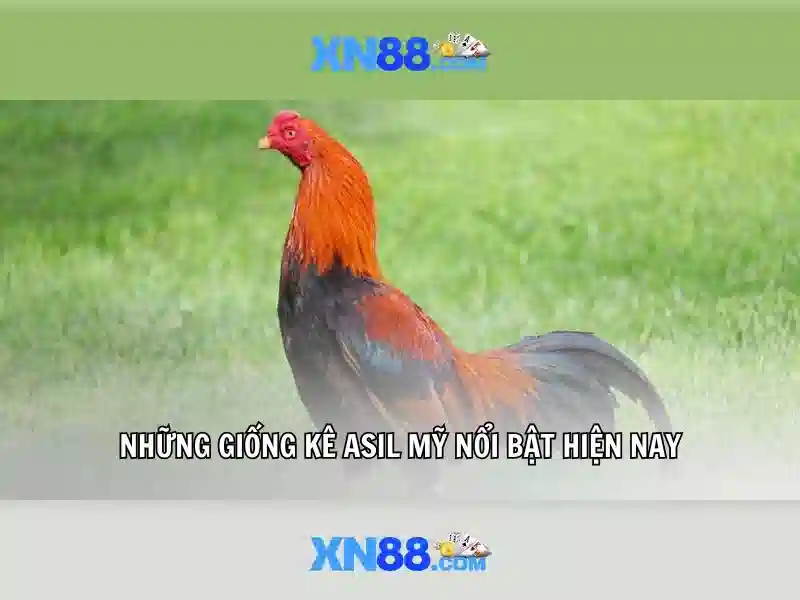 💎888 slot nét💎