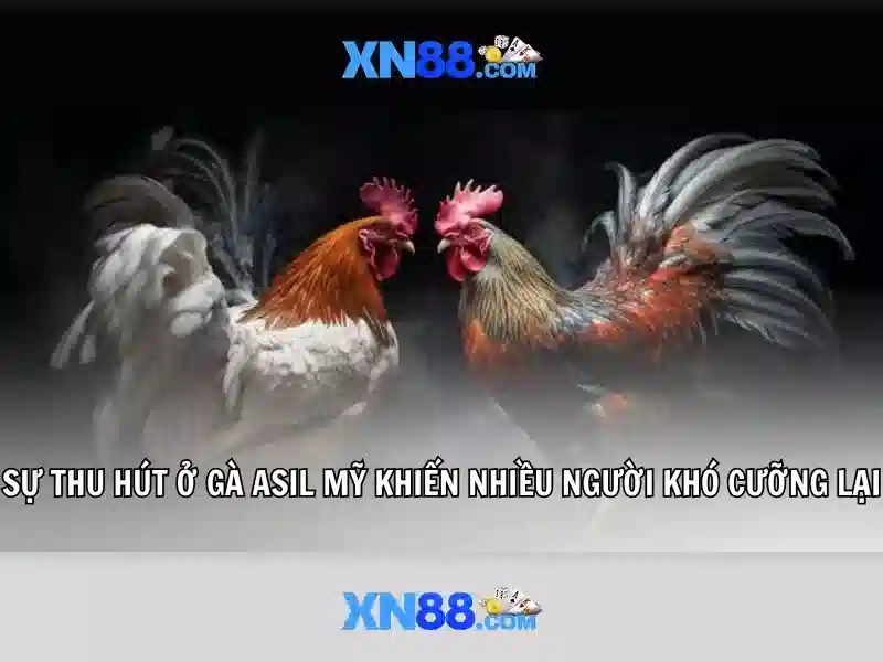 💎myanmar 888slot platform💎