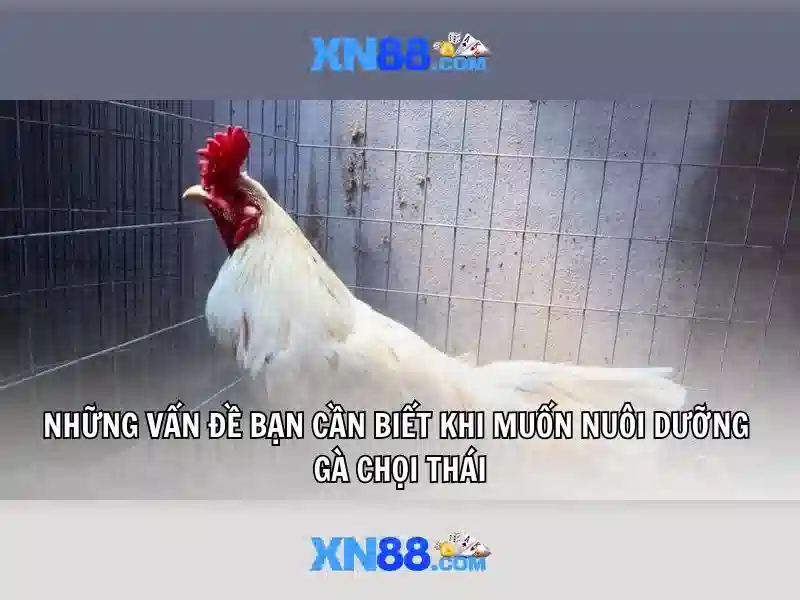 💎nếu được xem nhau như cả cuộc đời💎