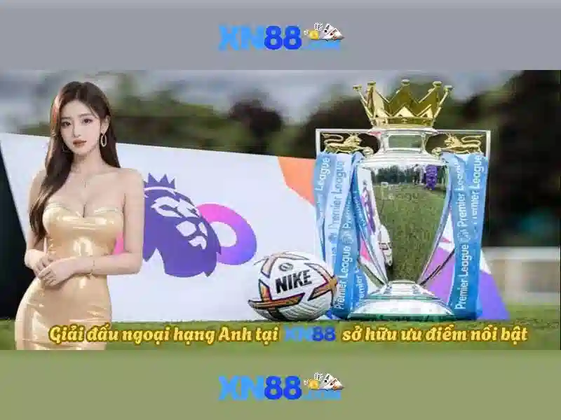 💎what is xn88💎