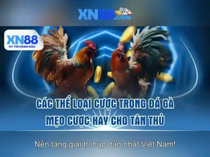 💎god of martial xn88💎