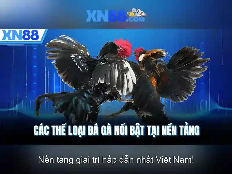 💎anh vs đức kèo nhà cái💎