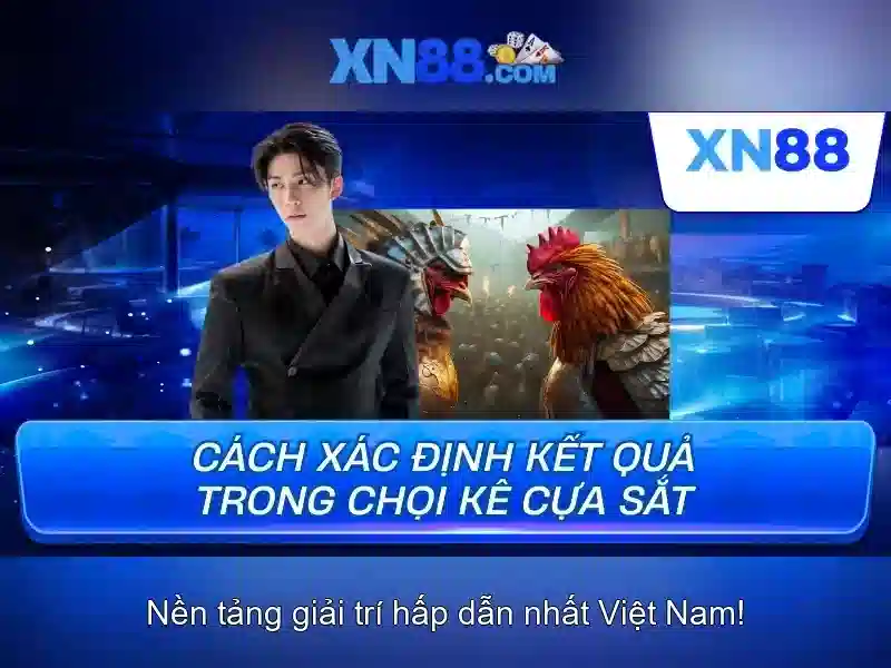 💎canon eos r card slots💎