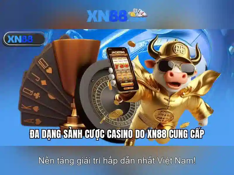 💎book of gold symbol choice slot review💎