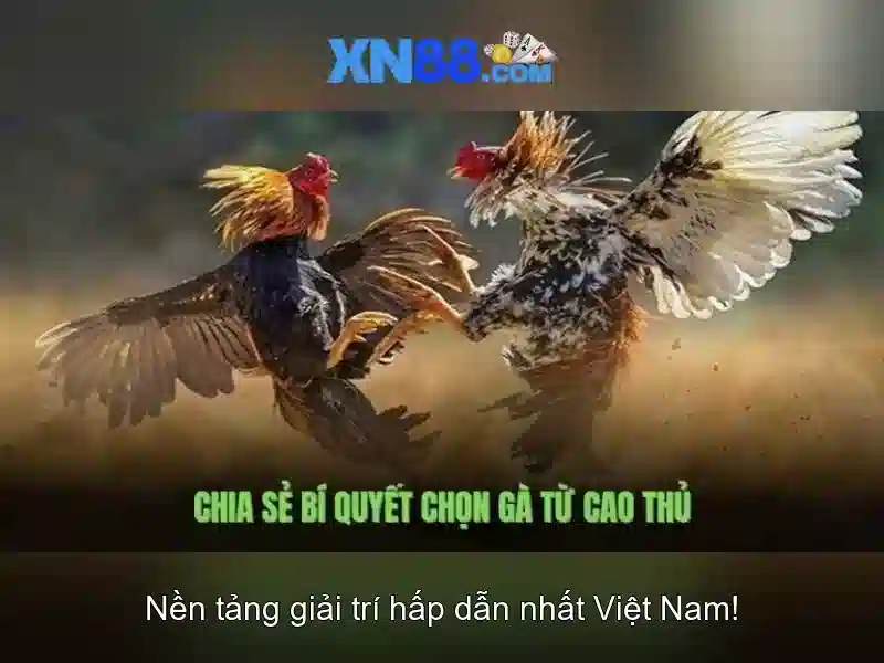 💎arctic slot png💎