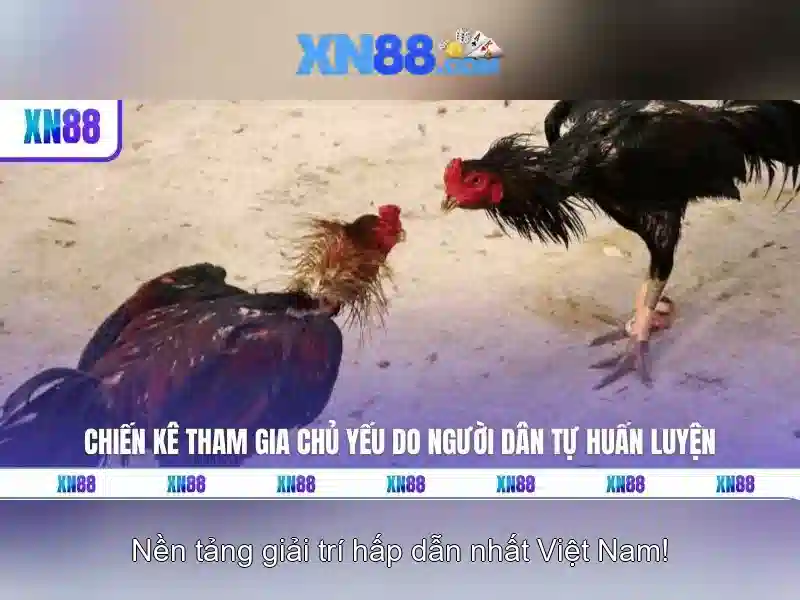 💎888 slot vip777💎