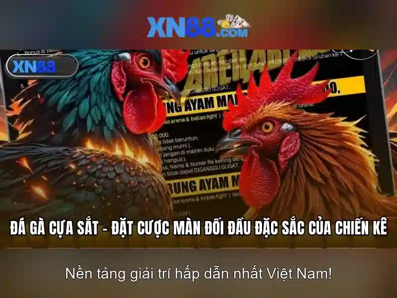 💎sòng bạc thác lớn💎