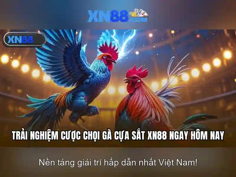 💎tỷ lệ kèo nhà cái link💎