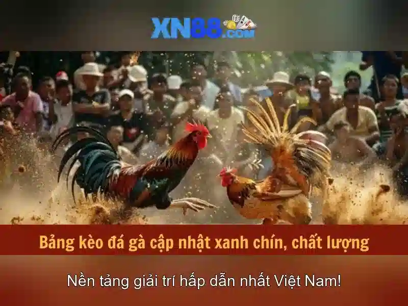 💎kẻ sống ẩu người sống bạc💎