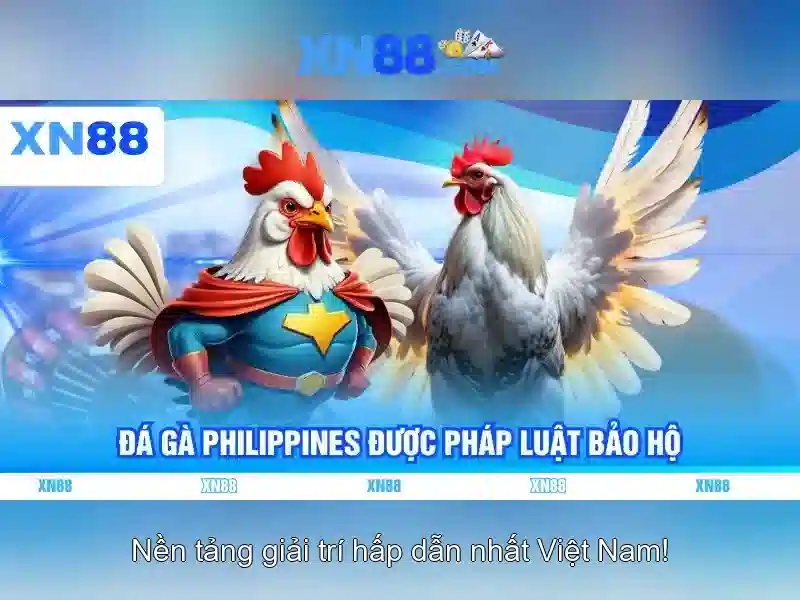 💎xn88 boom legend💎