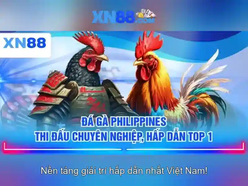 💎xn88 download apk for android💎