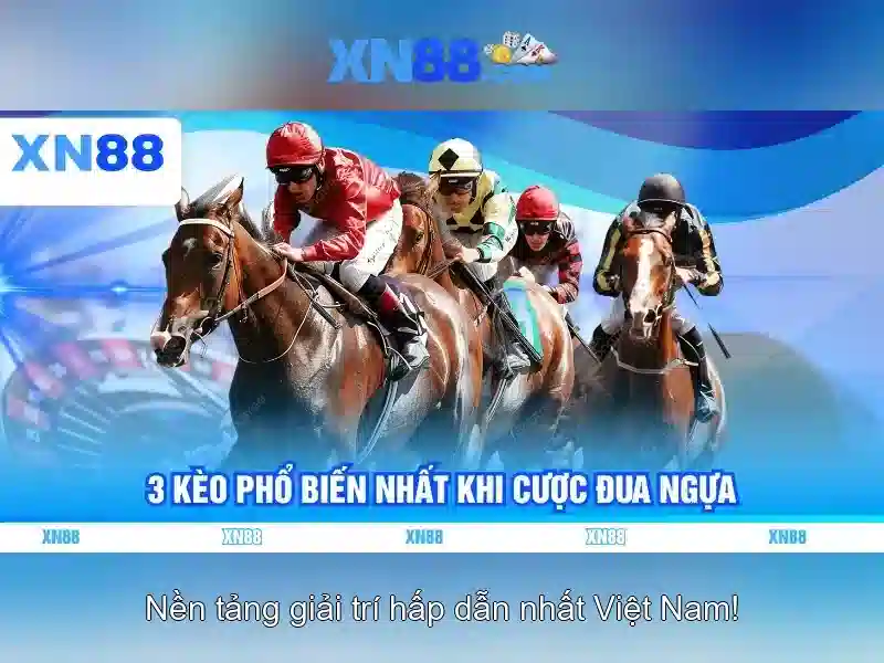 💎cá cược cá cược xn88💎