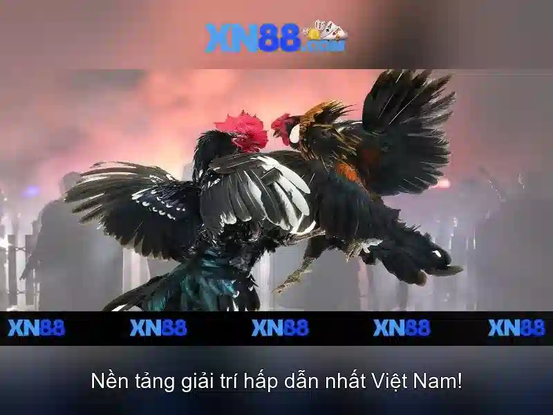💎người giả danh bác hồ💎