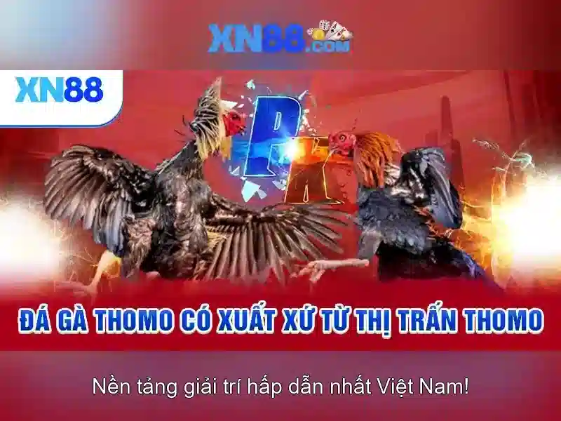 💎cá cược cao h💎
