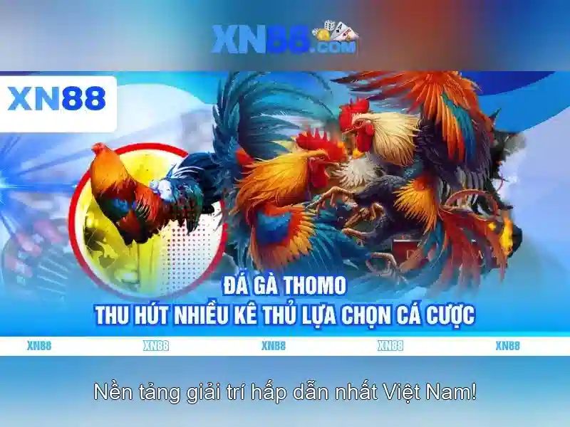 💎nhà cái uy tín dex💎