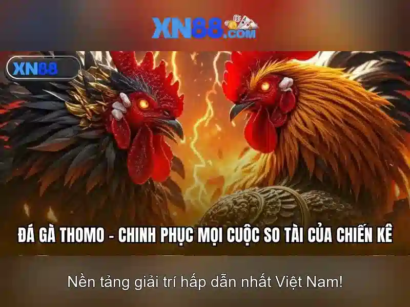 💎nhà thờ bãi cải campuchia💎